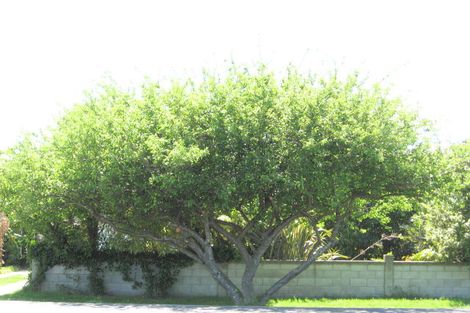 Photo of property in 4 Iranui Road, Inner Kaiti, Gisborne, 4010