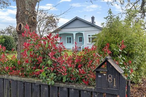 Photo of property in 81 Allen Street, Morrinsville, 3300
