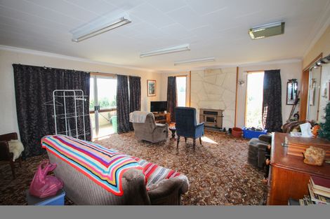 Photo of property in 22 Appleby Street, Hampden, 9410