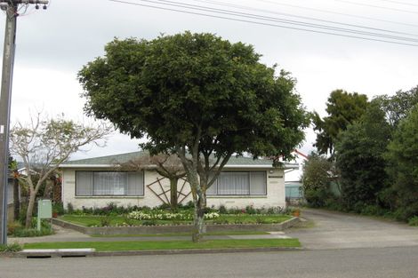 Photo of property in 164 Winchester Street, Levin, 5510