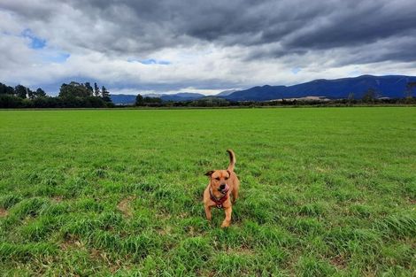 Photo of property in 410 Harmans Gorge Road, View Hill, Oxford, 7495