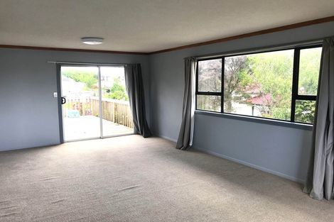 Photo of property in 62 Ellis Avenue, Mount Roskill, Auckland, 1041