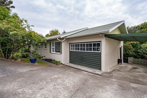 Photo of property in 61 Torlesse Street, Enner Glynn, Nelson, 7011