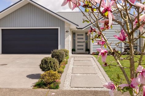 Photo of property in 93 Puhirake Crescent, Pyes Pa, Tauranga, 3112