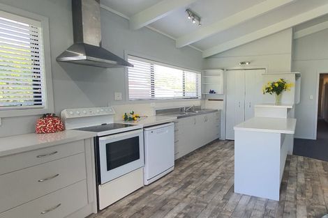 Photo of property in 20 Waihou Street, Turua, Thames, 3574