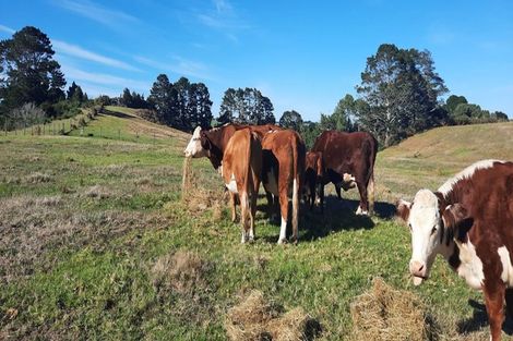 Photo of property in 132b Gatfield Road, Kaukapakapa, 0873
