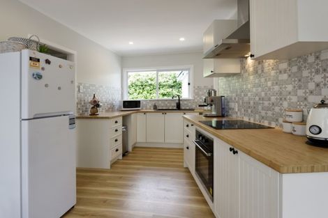 Photo of property in 40 D'arcy Street, Richmond, 7020