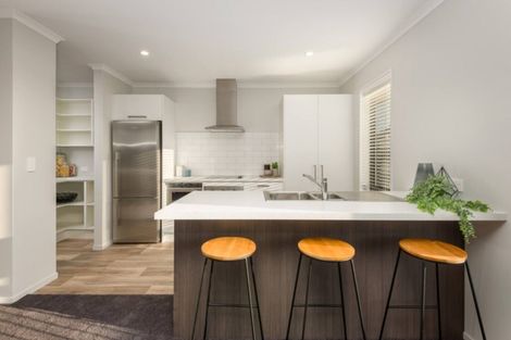 Photo of property in 97 Ledbury Drive, Rolleston, 7615