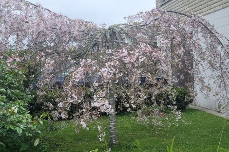 Photo of property in 17 Hakanoa Street, Huntly, 3700