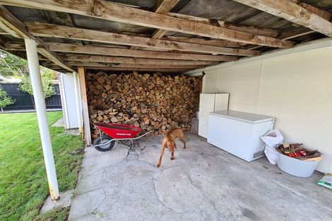 Photo of property in 19 Ethne Street, Mairehau, Christchurch, 8013