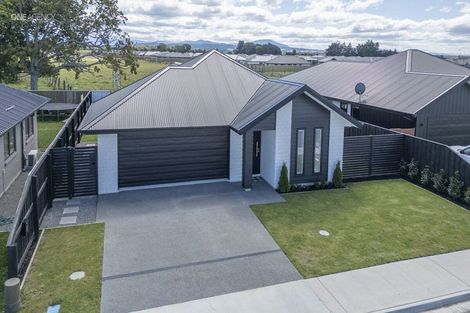 Photo of property in 29 Crossley Avenue, Woodend, 7610