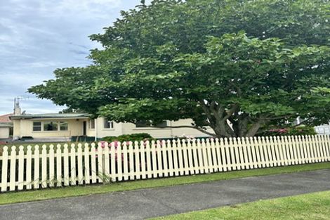 Photo of property in 1110 Allenby Street, Akina, Hastings, 4122