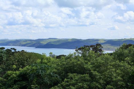 Photo of property in 16 Upper Wainui Road, Raglan, 3297