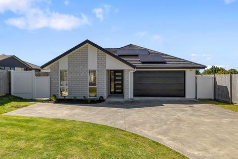 Photo of property in 10 Hoylake Place, Morrinsville, 3300