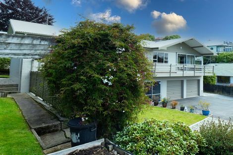 Photo of property in 56 Glenpark Avenue, Mornington, Dunedin, 9011