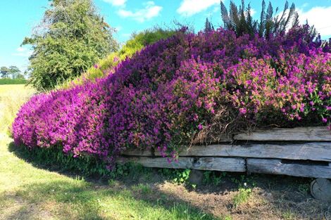 Photo of property in 979 Wyndham Letterbox Road, Glenham, Wyndham, 9891