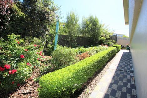 Photo of property in 77a Tees Street, South Hill, Oamaru, 9400