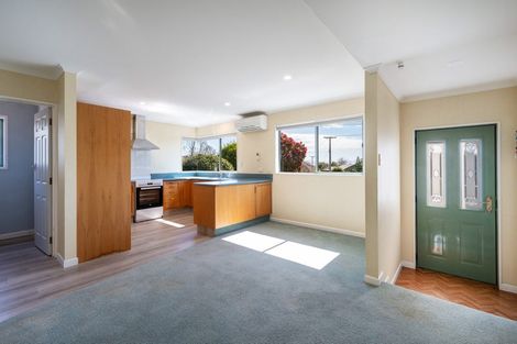 Photo of property in 249 Hill Street, Richmond, 7020