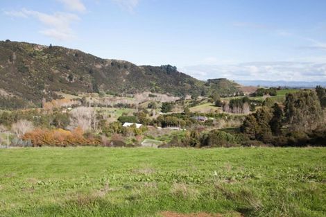 Photo of property in 78 Packtrack Road, Thames, 3577