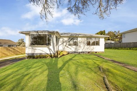 Photo of property in 17 Castleton Street, Birkdale, Auckland, 0626