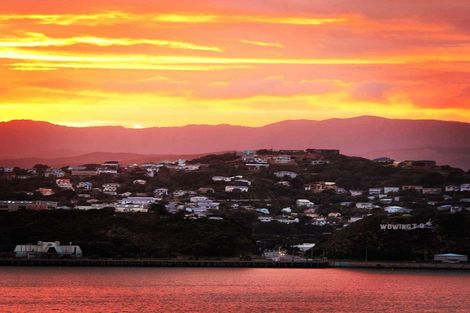 Photo of property in 85 Overtoun Terrace, Hataitai, Wellington, 6021