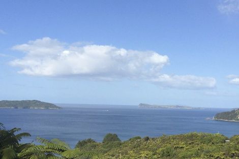 Photo of property in 135 Pumpkin Hill Road, Pumpkin Hill, Whitianga, 3591