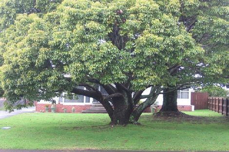 Photo of property in 21 Sunnyside Crescent, Papatoetoe, Auckland, 2025