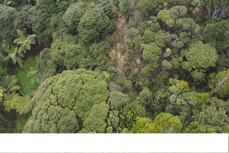 Photo of property in 112 Piha Road, Piha, 0772