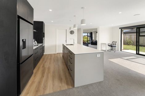 Photo of property in 96 Berryfield Drive, Appleby, Richmond, 7020