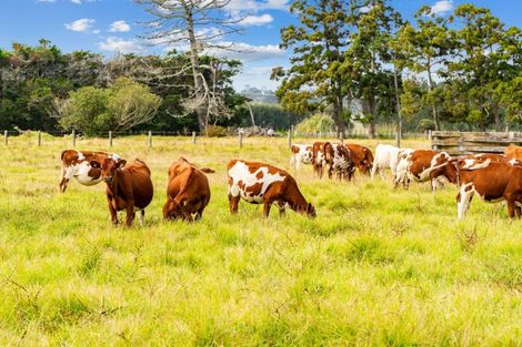 Photo of property in 1091 Pouto Road, Te Kopuru, 0391