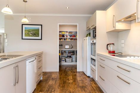 Photo of property in 87 Cridland Street, Rakaia, 7710