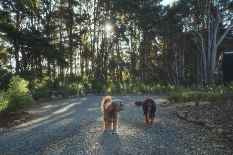 Photo of property in 629e Tara Road, Mangawhai, Kaiwaka, 0573