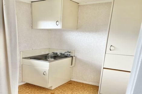 Photo of property in 21 Tudor Road, Henderson, Auckland, 0610