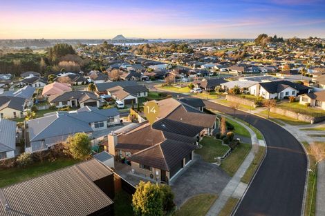 Photo of property in 14 Mervyn Place, Ohauiti, Tauranga, 3112