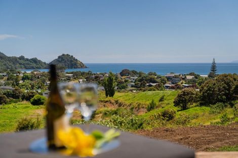 Photo of property in 26 Huarere Rise, Whangapoua, Coromandel, 3582