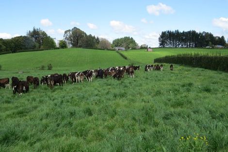 Photo of property in 58 Ryburn Road, Ohaupo, 3883