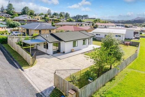 Photo of property in 29 Hartis Avenue, Huntly, 3700