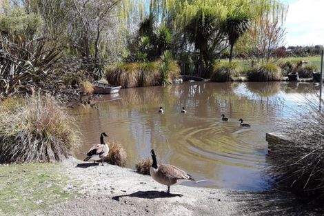 Photo of property in 426 Collins Road, Springston, Christchurch, 7674