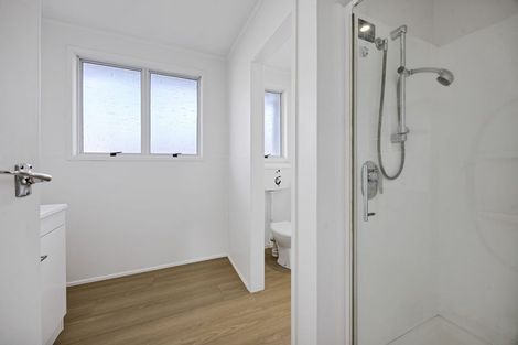 Photo of property in 154 Brecon Road, Stratford, 4332