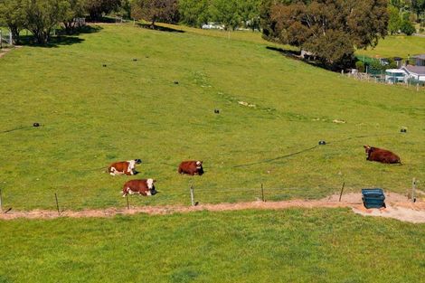 Photo of property in 1519 Marama Road, Seddon, 7285