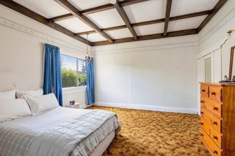 Photo of property in 53 Lloyd Avenue, Mount Albert, Auckland, 1025