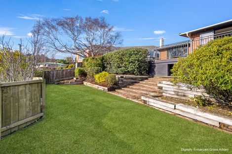 Photo of property in 19 Heath Street, Andersons Bay, Dunedin, 9013