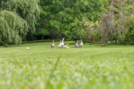 Photo of property in 68 Wiroa Road, Kerikeri, 0293