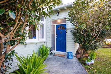 Photo of property in 17 Manson Street, Terrace End, Palmerston North, 4410
