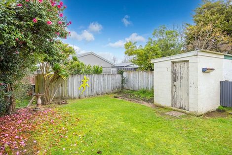 Photo of property in 3 Treloar Street, Fairfield, Hamilton, 3214