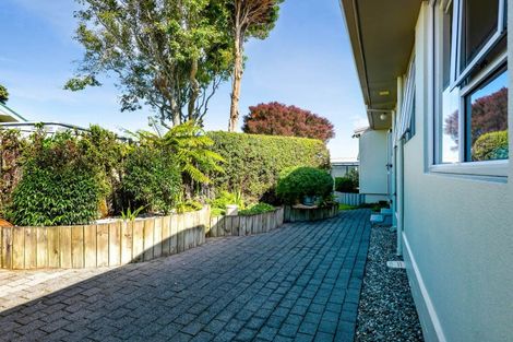 Photo of property in 15 Leon Place, Waitara, 4320