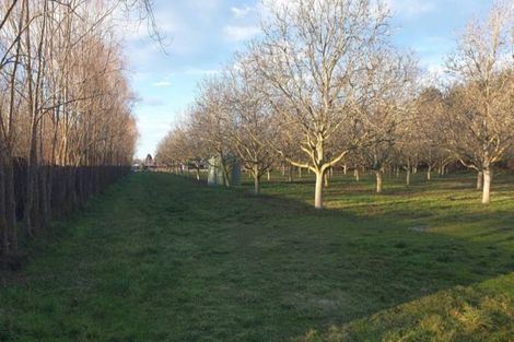 Photo of property in 142 Cullen Avenue, Swannanoa, Rangiora, 7475