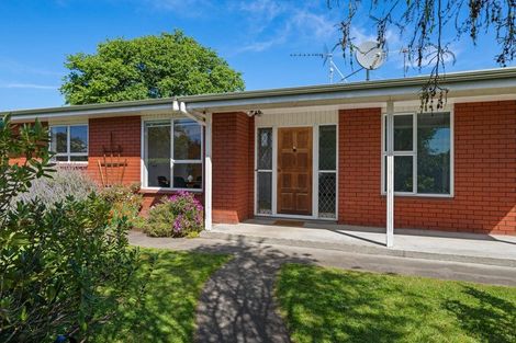 Photo of property in 62 Litchfield Street, Redwoodtown, Blenheim, 7201