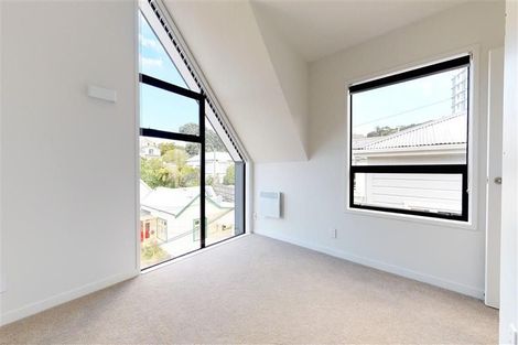 Photo of property in 1/17 Nairn Street, Mount Cook, Wellington, 6011