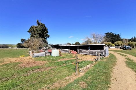 Photo of property in 819 Matamau Ormondville Road, Ormondville, Dannevirke, 4977